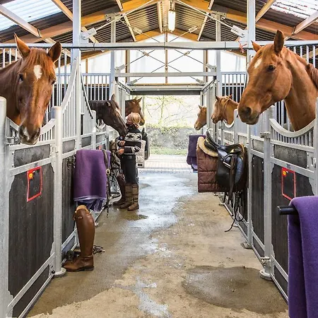 Der Valk - De Cantharel Apeldoorn