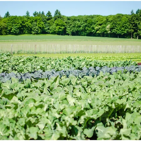 Hotel Der Valk - De Cantharel 4*