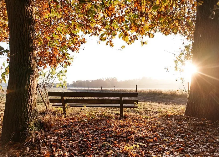 Hotell Der Valk - De Cantharel 4*