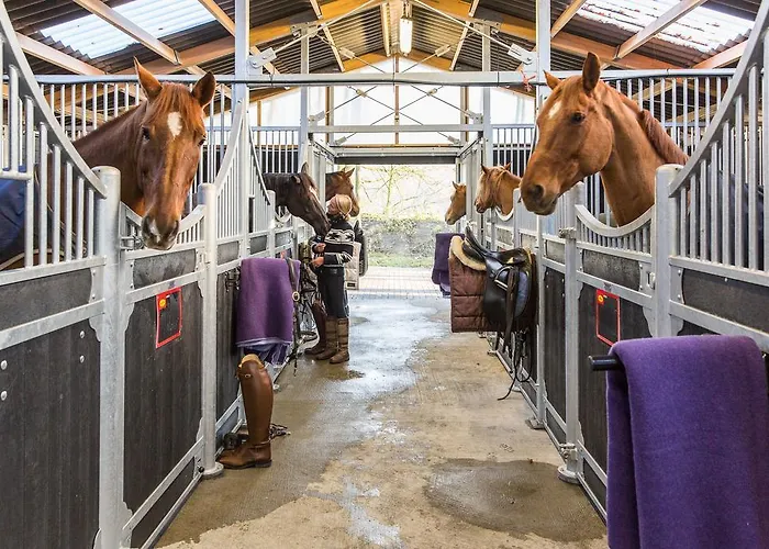 Der Valk - De Cantharel Apeldoorn