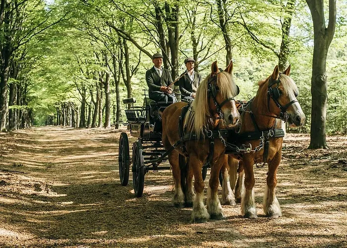 Der Valk - De Cantharel Hotel 4*