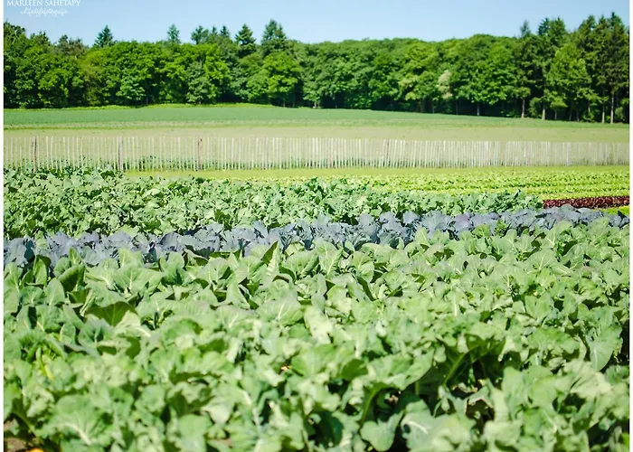 Ξενοδοχείο Der Valk - De Cantharel 4*